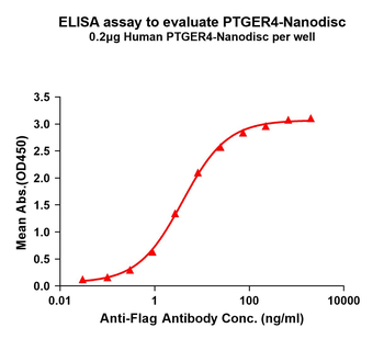 Human PTGER4 full length protein-synthetic nanodisc