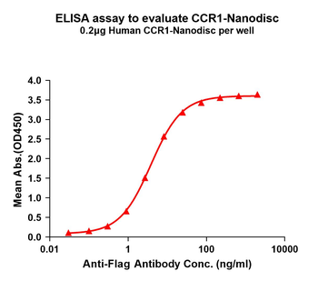 Human CCR1 full length protein-synthetic nanodisc