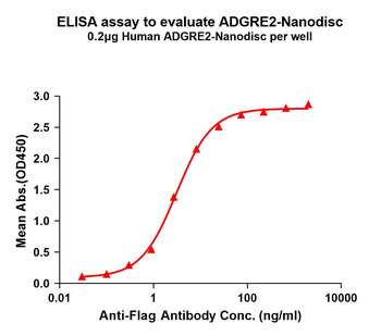 Human ADGRE2 full length protein-synthetic nanodisc
