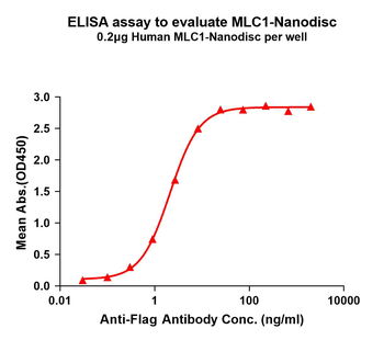 Human MLC1 full length protein-synthetic nanodisc