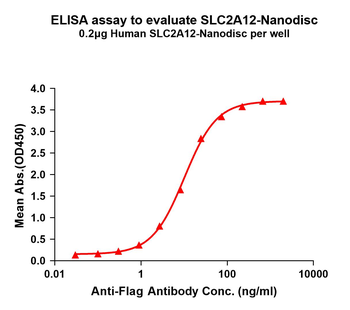 Human SLC2A12 full length protein-synthetic nanodisc