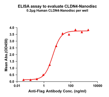Human CLDN4 full length protein-synthetic nanodisc