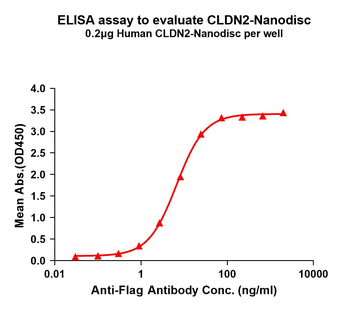 Human CLDN2 full length protein-synthetic nanodisc