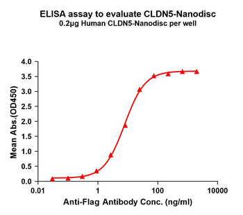 Human CLDN5 full length protein-synthetic nanodisc