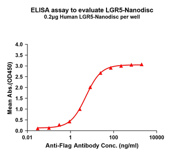 Human LGR5 full length protein-synthetic nanodisc