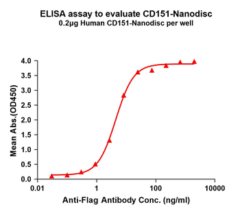 Human CD151 full length protein-synthetic nanodisc
