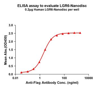 Human LGR6 full length protein-synthetic nanodisc