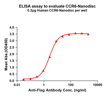Human CCR6 full length protein-synthetic nanodisc