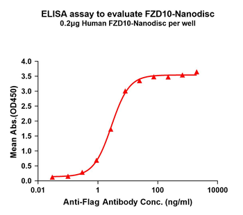 Human FZD10 full length protein-synthetic nanodisc