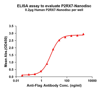 Human P2RX7 full length protein-synthetic nanodisc