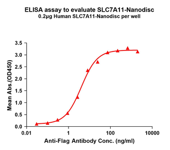 Human SLC7A11 full length protein-synthetic nanodisc