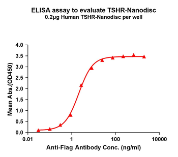 Human TSHR full length protein-synthetic nanodisc