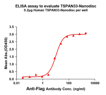 Human TSPAN33 full length protein-synthetic nanodisc