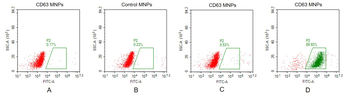 Human CD63 full length protein-MNP