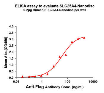 Human SLC25A4 full length protein-synthetic nanodisc
