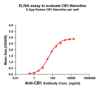 Human CB1 full length protein-synthetic nanodisc