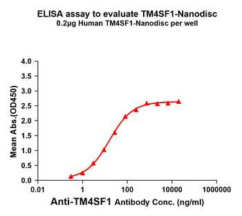 Human TM4SF1 full length protein-synthetic nanodisc