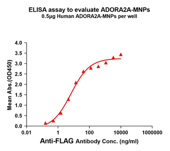 Human ADORA2A full length protein-MNP