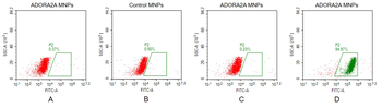 Human ADORA2A full length protein-MNP