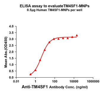 Human TM4SF1 full length protein-MNP