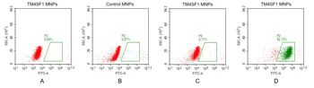 Human TM4SF1 full length protein-MNP