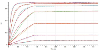 Human p16(44-72) Protein, hFc Tag