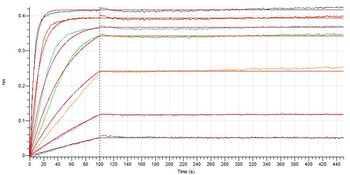 Human p16(44-72) Protein, hFc Tag
