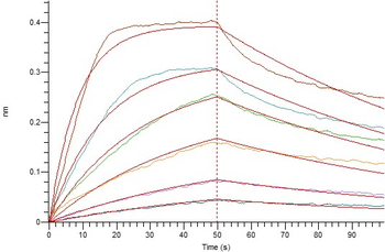 Human GLP1R Protein, hFc Tag