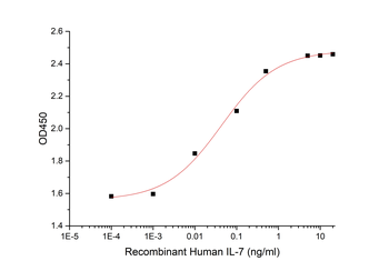 Human RHOB Protein, hFc Tag