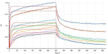 Human RHOB Protein, hFc Tag