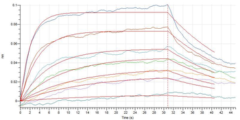 Human RHOB Protein, hFc Tag