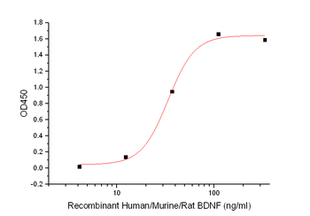 Human ALPP Protein, His Tag