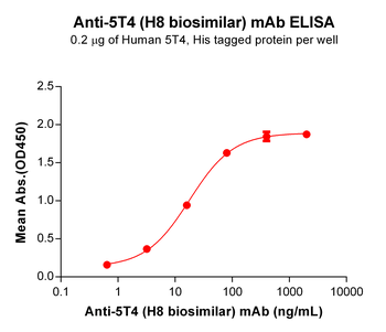 Anti-5T4 (H8 biosimilar) mAb