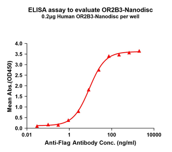 Human OR2B3 full length protein-synthetic nanodisc