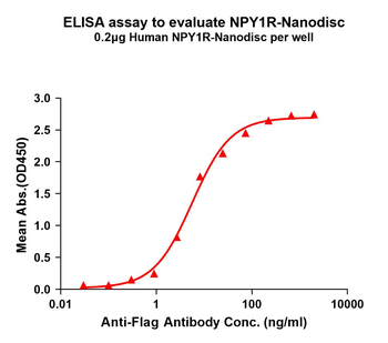 Human NPY1R full length protein-synthetic nanodisc