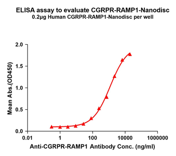 Human CGRPR-RAMP1 full length protein-synthetic nanodisc