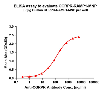 Human CGRPR-RAMP1 full length protein-MNP