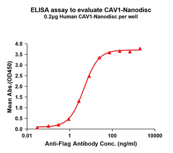 Human CAV1 full length protein-synthetic nanodisc