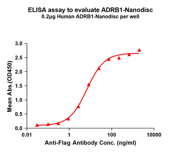 Human ADRB1 full length protein-synthetic nanodisc
