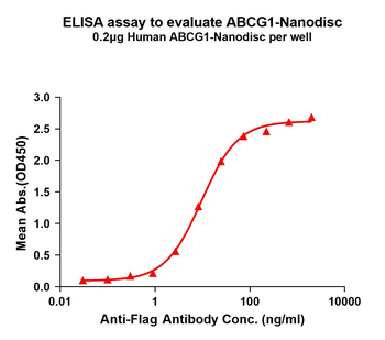 Human ABCG1 full length protein-synthetic nanodisc
