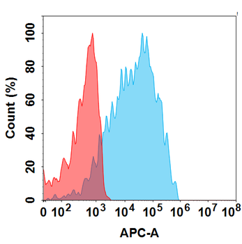 Anti-CEACAM5(tusamitamab biosimilar) mAb