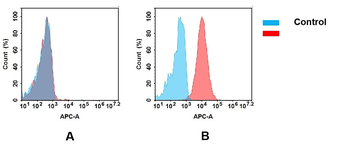 Anti-CD93(biosimilar) mAb