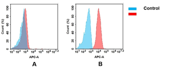 Anti-IGF-1R(teprotumumab biosimilar) mAb