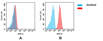 Anti-IGF-1R(teprotumumab biosimilar) mAb