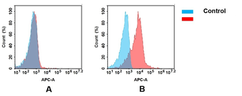 Anti-CD3E(DIMA BM323) mAb
