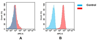 Anti-CD166(praluzatamab biosimilar) mAb