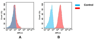 Anti-CD166(praluzatamab biosimilar) mAb
