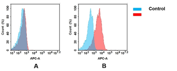 Anti-CD79B(polatuzumab biosimilar) mAb