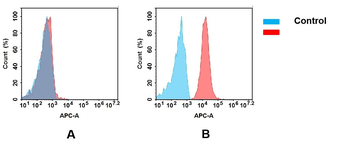 Anti-CD74(milatuzumab biosimilar) mAb