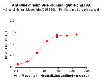 Anti-Mesothelin VHH-human IgG1 Fc